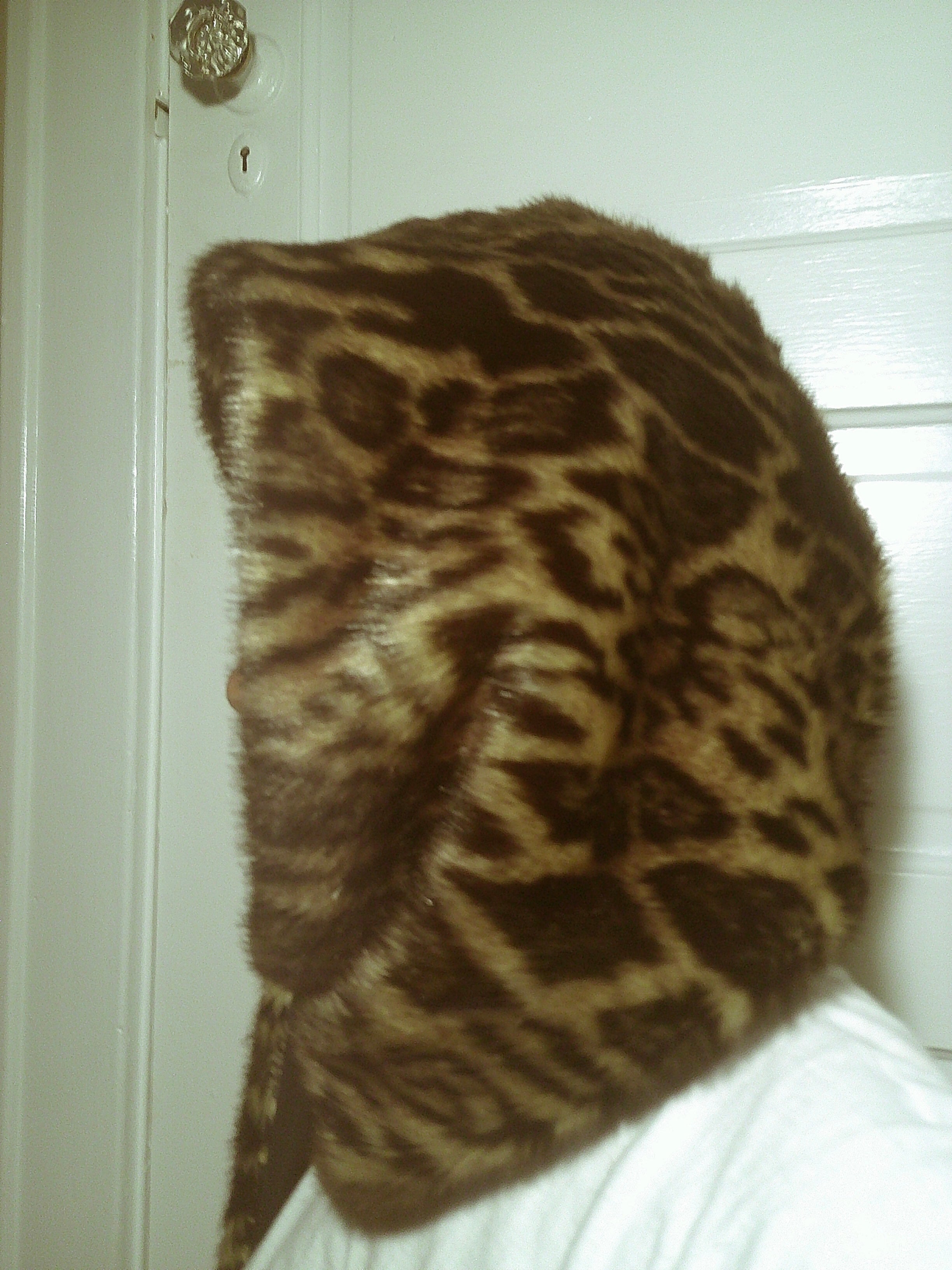 Leopard Hood